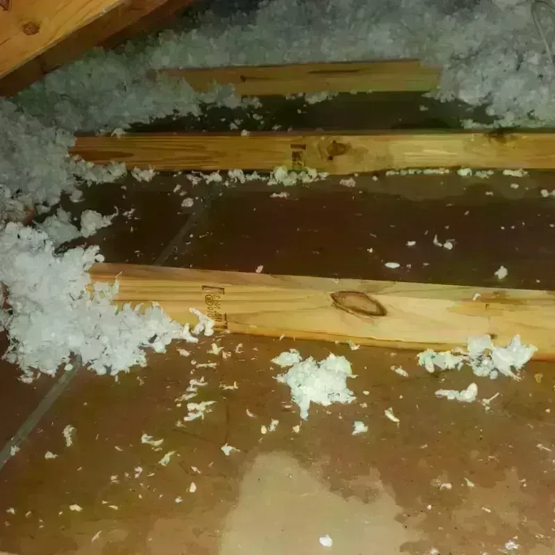 Attic Water Damage in South Salt Lake, UT